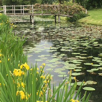 Garden Services