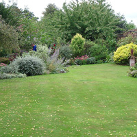 Garden Services
