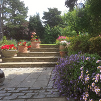 Garden Services