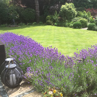 Garden Services