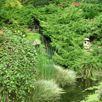 Garden Services